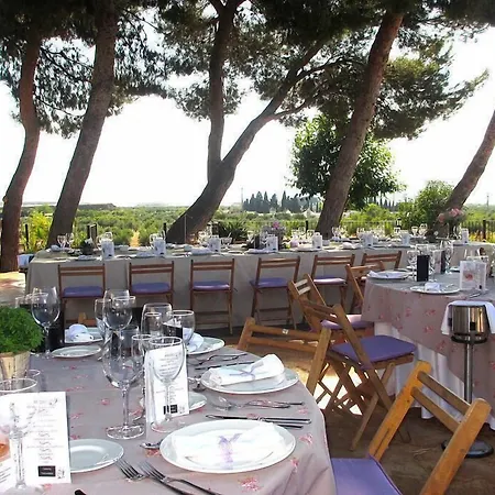 Rural Castillo De Hotell Biar