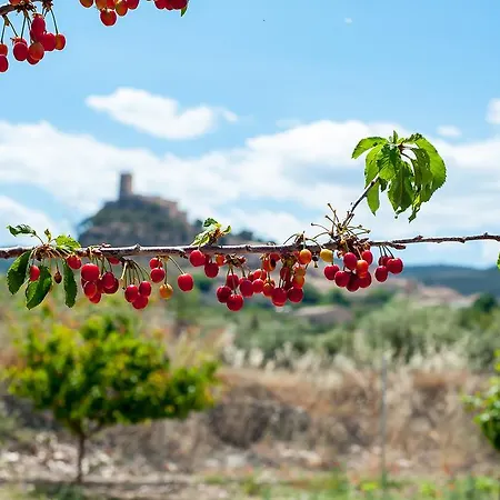Rural Castillo De 3*