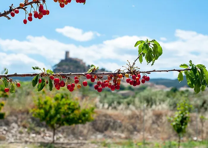 Rural Castillo De 3*