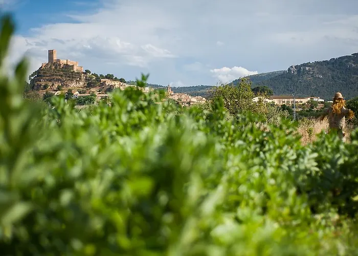 Rural Castillo De Бьяр
