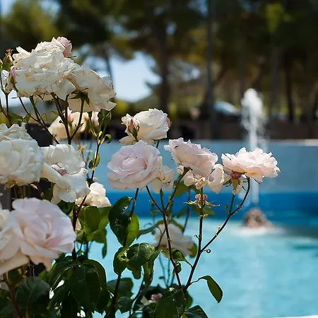 Rural Castillo De Biar