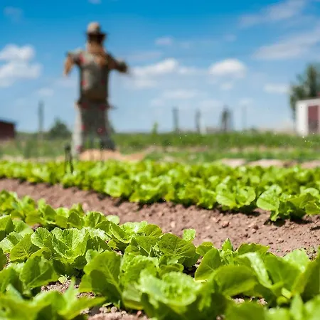 Rural Castillo De Hotel