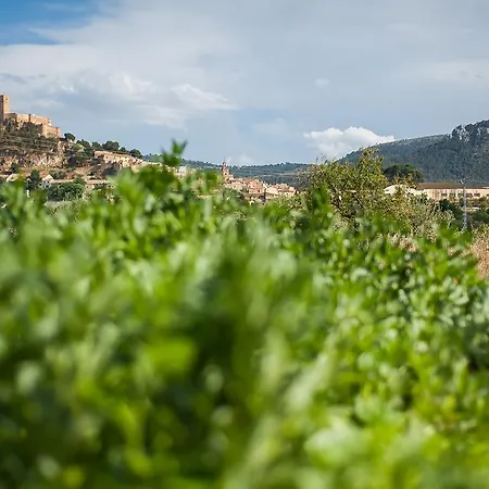Rural Castillo De Biar
